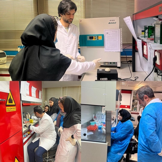 کارگاه های آموزشی تخصصی با محوریت ارتقاء دانش و مهارت های علمی و پژوهشی 